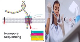 CURSO DE ANÀLISIS METAGENÒMICOS CON NANOPOROS - IIN