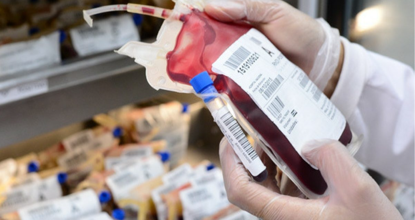 SERVICIO DE DOCENCIA DEL CURSO HEMOTERAPIA Y BANCO DE SANGRE