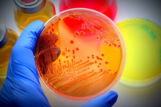 Actualización y estandarización en Microbiología Clínica